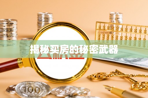 娄烦揭秘买房的秘密武器