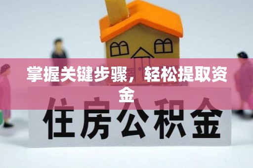 娄烦掌握关键步骤，轻松提取资金