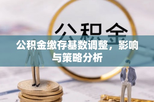 娄烦公积金缴存基数调整，影响与策略分析