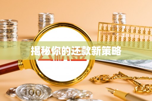娄烦揭秘你的还款新策略
