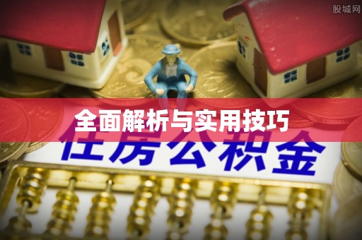 娄烦全面解析与实用技巧