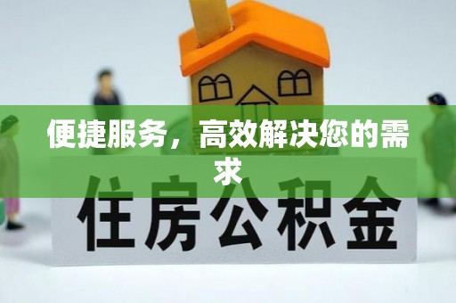 娄烦便捷服务，高效解决您的需求