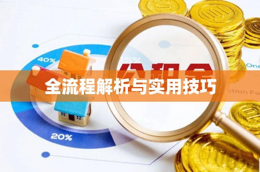 娄烦全流程解析与实用技巧