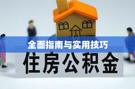 娄烦全面指南与实用技巧