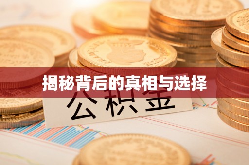 娄烦揭秘背后的真相与选择