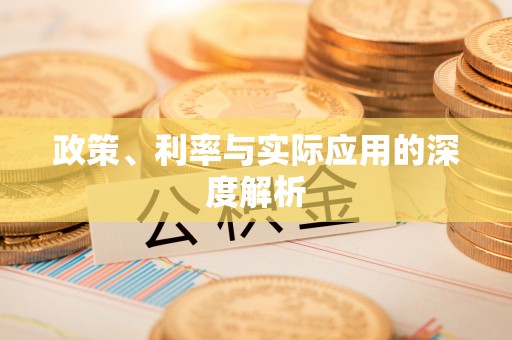 娄烦政策、利率与实际应用的深度解析