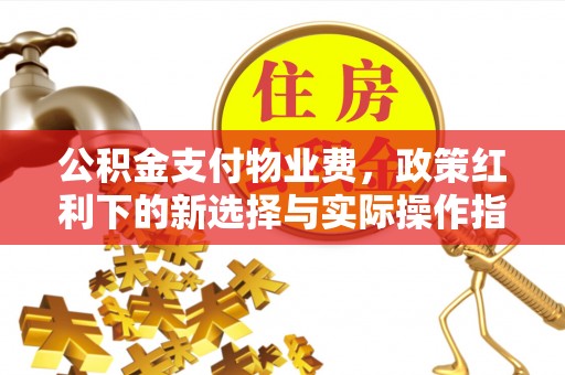 娄烦公积金支付物业费，政策红利下的新选择与实际操作指南