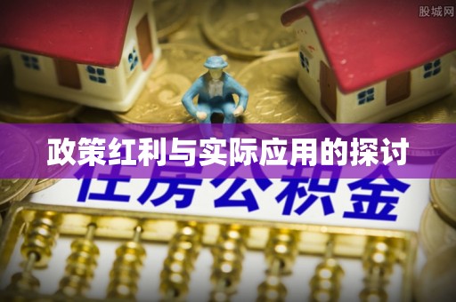 娄烦政策红利与实际应用的探讨