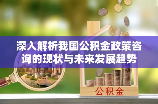娄烦深入解析我国公积金政策咨询的现状与未来发展趋势