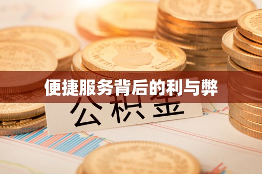 娄烦便捷服务背后的利与弊