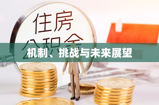 娄烦机制、挑战与未来展望